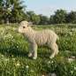 Preview: Dekoratives Lamm – Liebevolle Garten- und Wohnraumdekoration